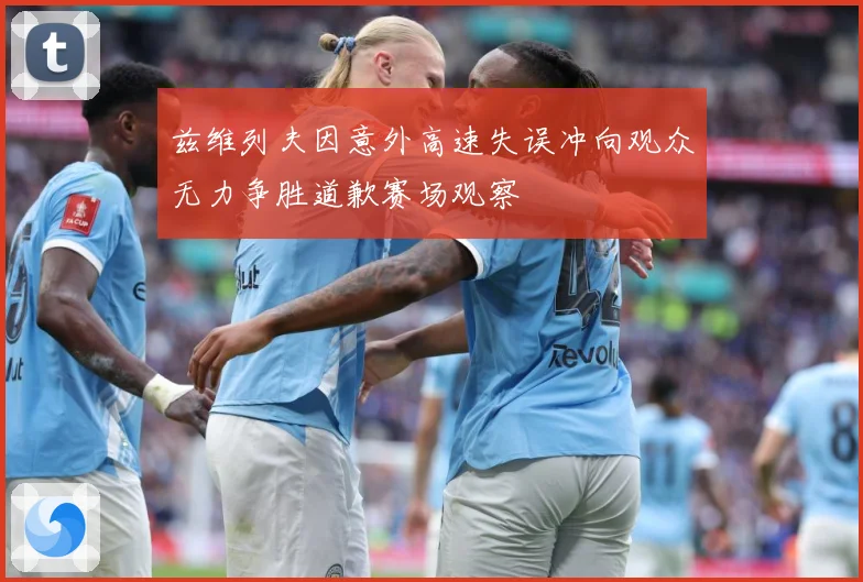 兹维列夫因意外高速失误冲向观众无力争胜道歉赛场观察