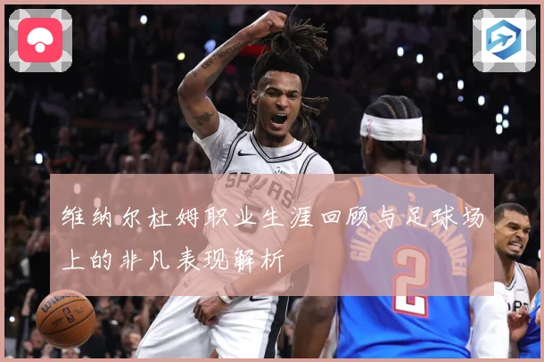 维纳尔杜姆职业生涯回顾与足球场上的非凡表现解析