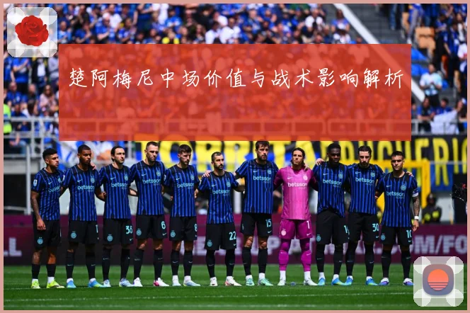 楚阿梅尼中场价值与战术影响解析