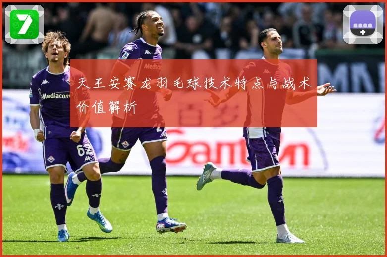 天王安赛龙羽毛球技术特点与战术价值解析