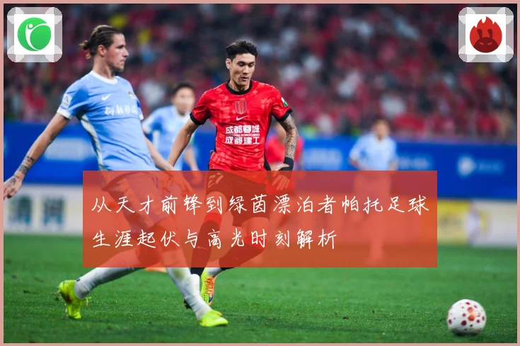 从天才前锋到绿茵漂泊者帕托足球生涯起伏与高光时刻解析