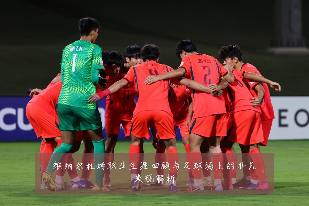 维纳尔杜姆职业生涯回顾与足球场上的非凡表现解析